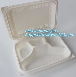 100% Biodegradable sugarcane pulp Lunch disposable Box bagasse food container disposable clamshell lunch box bagease pac supplier