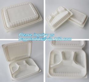 100% Biodegradable sugarcane pulp Lunch disposable Box bagasse food container disposable clamshell lunch box bagease pac supplier