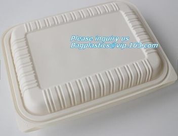 100% Biodegradable sugarcane pulp Lunch disposable Box bagasse food container disposable clamshell lunch box bagease pac supplier