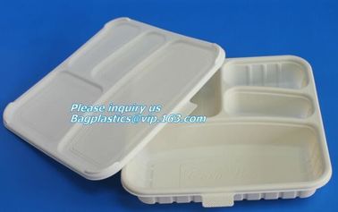 cornstarch eco Green 16oz Food Container Sugarcane Biodegradable Square Disposable Paper Salad Tray/Bowl bagplastics, pa supplier