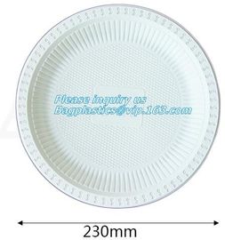 Round 11 inch 4 compartment disposable corn starch plates,3 compartments disposable corn starch plates, corn starch pack supplier