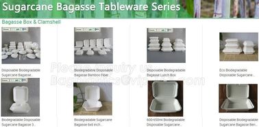 Fully Renewable Unbleached Wheatstraw and Sugarcane Fibers Takeout Containers,Biodegradable lamination oil cut resistant supplier