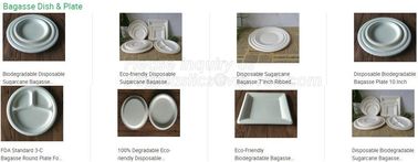 Eco Biodegradable Disposable Sugarcane Bagasse Food Container,Customize biodegradable corn starch plastic food storage c supplier