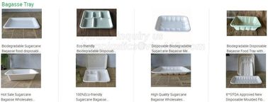 Eco Biodegradable Disposable Sugarcane Bagasse Food Container,Customize biodegradable corn starch plastic food storage c supplier