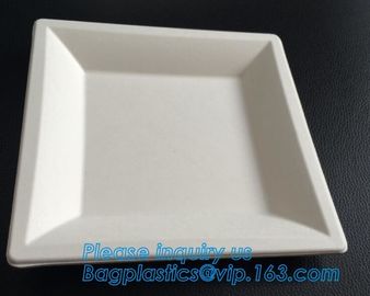 7 inch Pretty Food Grade Eco Biodegradable Tableware Disposable Corn Starch Plate,corn starch disposable plastic plates/ supplier