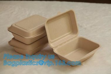 biodegradable sugarcane food container 6inch 450ml to-go burger box,Eco-friendly Biodegradable Corn Starch Food Containe supplier