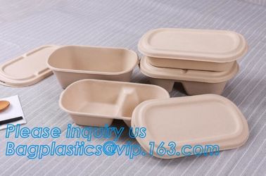 biodegradable sugarcane food container 6inch 450ml to-go burger box,Eco-friendly Biodegradable Corn Starch Food Containe supplier