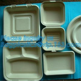 biodegradable sugarcane food container 6inch 450ml to-go burger box,Eco-friendly Biodegradable Corn Starch Food Containe supplier