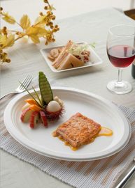 Full Biodegradable Oval Compostable plastic Corn Starch plates,Eco- Friendly Biodegradable Corn Starch Disposable Tablew supplier