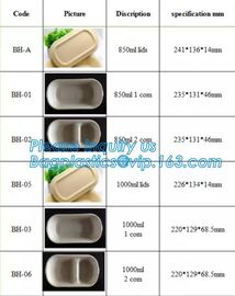 disposable takeaway bento to go box compostable food packaging sugarcane bagasse tableware biodegradable food container supplier