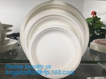 Compostable biodegradable dinner plate corn starch plate,Elegant Disposable Corn Starch Bio Plastic Dinner Plates bagpla supplier