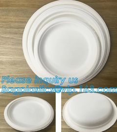 Compostable biodegradable dinner plate corn starch plate,Elegant Disposable Corn Starch Bio Plastic Dinner Plates bagpla supplier