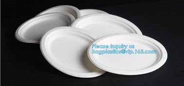 Compostable biodegradable dinner plate corn starch plate,Elegant Disposable Corn Starch Bio Plastic Dinner Plates bagpla supplier