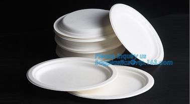 Compostable biodegradable dinner plate corn starch plate,Elegant Disposable Corn Starch Bio Plastic Dinner Plates bagpla supplier