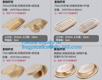 Biodegradable Microwave Bamboo Sugarcane Bagasse Food Container,Eco friendly disposable sugarcane food container with li supplier