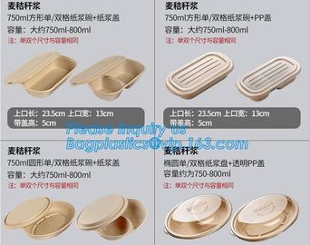 Biodegradable Microwave Bamboo Sugarcane Bagasse Food Container,Eco friendly disposable sugarcane food container with li supplier