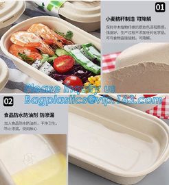 Biodegradable Microwave Bamboo Sugarcane Bagasse Food Container,Eco friendly disposable sugarcane food container with li supplier