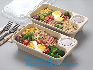 Biodegradable Microwave Bamboo Sugarcane Bagasse Food Container,Eco friendly disposable sugarcane food container with li supplier