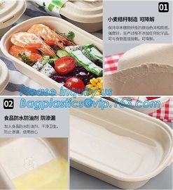 Pulp bowl, sugarcane take away fast food container with Lid,Compostable sugarcane bagasse clamshell food containers pac supplier