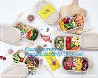 Pulp bowl, sugarcane take away fast food container with Lid,Compostable sugarcane bagasse clamshell food containers pac supplier