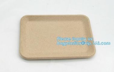 Biodegradable &amp; Compostable 8 inchSquare sugarcane trays,sugarcane pulp compostable serving tray,lunch tray bagasse suga supplier