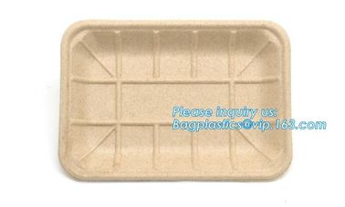 Biodegradable &amp; Compostable 8 inchSquare sugarcane trays,sugarcane pulp compostable serving tray,lunch tray bagasse suga supplier