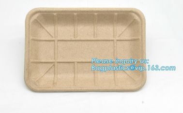 Biodegradable &amp; Compostable 8 inchSquare sugarcane trays,sugarcane pulp compostable serving tray,lunch tray bagasse suga supplier