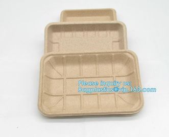 Biodegradable &amp; Compostable 8 inchSquare sugarcane trays,sugarcane pulp compostable serving tray,lunch tray bagasse suga supplier