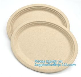 Biodegradable plate food grade green sugarcane bagasse plate,10&quot; sugarcane ecofriendly disposable oval plate bagease pac supplier