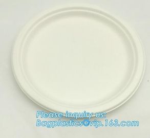 Biodegradable plate food grade green sugarcane bagasse plate,10&quot; sugarcane ecofriendly disposable oval plate bagease pac supplier