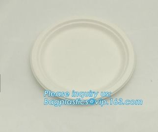 Biodegradable plate food grade green sugarcane bagasse plate,10&quot; sugarcane ecofriendly disposable oval plate bagease pac supplier