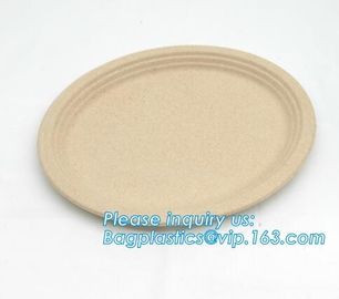 biodegradable tableware 5 compartment sugarcane tray,100% Biodegradable Disposable Sugarcane Paper Raw Material Composta supplier