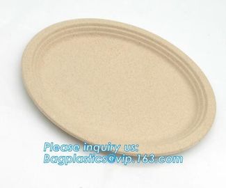 biodegradable tableware 5 compartment sugarcane tray,100% Biodegradable Disposable Sugarcane Paper Raw Material Composta supplier