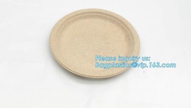 biodegradable tableware 5 compartment sugarcane tray,100% Biodegradable Disposable Sugarcane Paper Raw Material Composta supplier