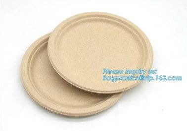 biodegradable tableware 5 compartment sugarcane tray,100% Biodegradable Disposable Sugarcane Paper Raw Material Composta supplier