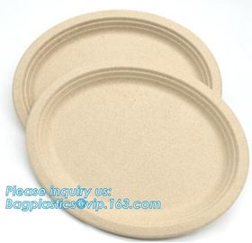 biodegradable tableware 5 compartment sugarcane tray,100% Biodegradable Disposable Sugarcane Paper Raw Material Composta supplier