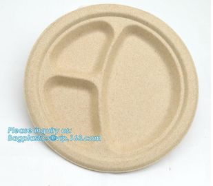 biodegradable tableware 5 compartment sugarcane tray,100% Biodegradable Disposable Sugarcane Paper Raw Material Composta supplier