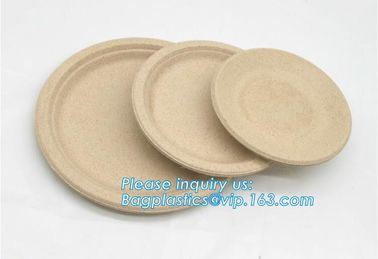 biodegradable tableware 5 compartment sugarcane tray,100% Biodegradable Disposable Sugarcane Paper Raw Material Composta supplier