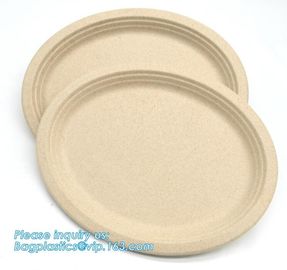 biodegradable tableware 5 compartment sugarcane tray,100% Biodegradable Disposable Sugarcane Paper Raw Material Composta supplier