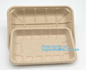 Compartment hinged container sugarcane bassage pulp food serving box 750ml bassage take out container bagplastics packa supplier