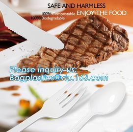 Compostable cutlery,PLA Biodegradable Disposable cutlery Biodegradable disposable cutlery plastic PLA cutlery,kitchenwar supplier
