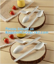 biodegradable compostable CPLA cutlery dinnerware tableware,PLA compostable cultery,cultery/spoon/fork/knife,bagease pac supplier