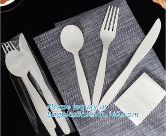 Biodegradable disposable cutlery eco friendly plastic CPLA cutlery,Disposable Biodegradable Corn Starch Cutlery/Spoon supplier