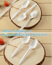 Biodegradable disposable cutlery eco friendly plastic CPLA cutlery,Disposable Biodegradable Corn Starch Cutlery/Spoon supplier