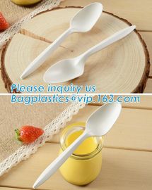 Biodegradable disposable cutlery eco friendly plastic CPLA cutlery,Disposable Biodegradable Corn Starch Cutlery/Spoon supplier