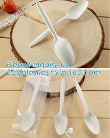 Biodegradable disposable cutlery eco friendly plastic CPLA cutlery,Disposable Biodegradable Corn Starch Cutlery/Spoon supplier