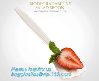 13 cm Length Corn Starch Bio Plastic Disposable Table Spoon,Eco-friendly Corn Starch Disposable Plastic Spoon,bagease pa supplier