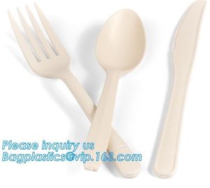 13 cm Length Corn Starch Bio Plastic Disposable Table Spoon,Eco-friendly Corn Starch Disposable Plastic Spoon,bagease pa supplier