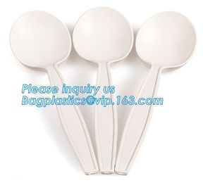 6 inches plastic biodegradable corn starch material spoon PLA dessert spoon,OEM Eco-friendly corn starch Disposable plas supplier