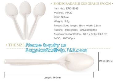 6 inches plastic biodegradable corn starch material spoon PLA dessert spoon,OEM Eco-friendly corn starch Disposable plas supplier